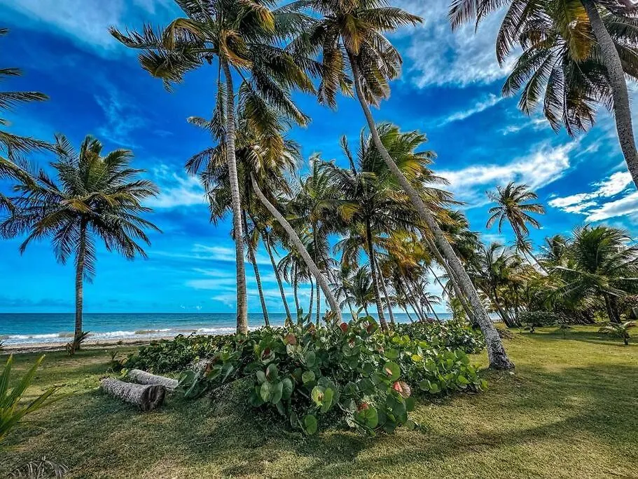 Casa Arroyo Oceanfront Apt In Campomar Resort 0*,  بورتوريكو